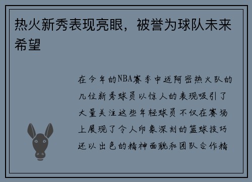 热火新秀表现亮眼，被誉为球队未来希望